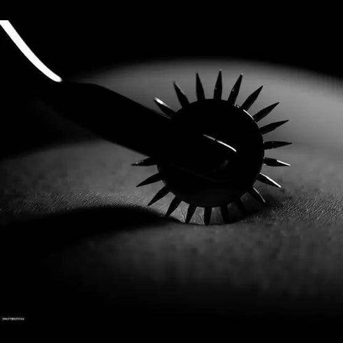 Steel Wheel Gear Roller - Givenco