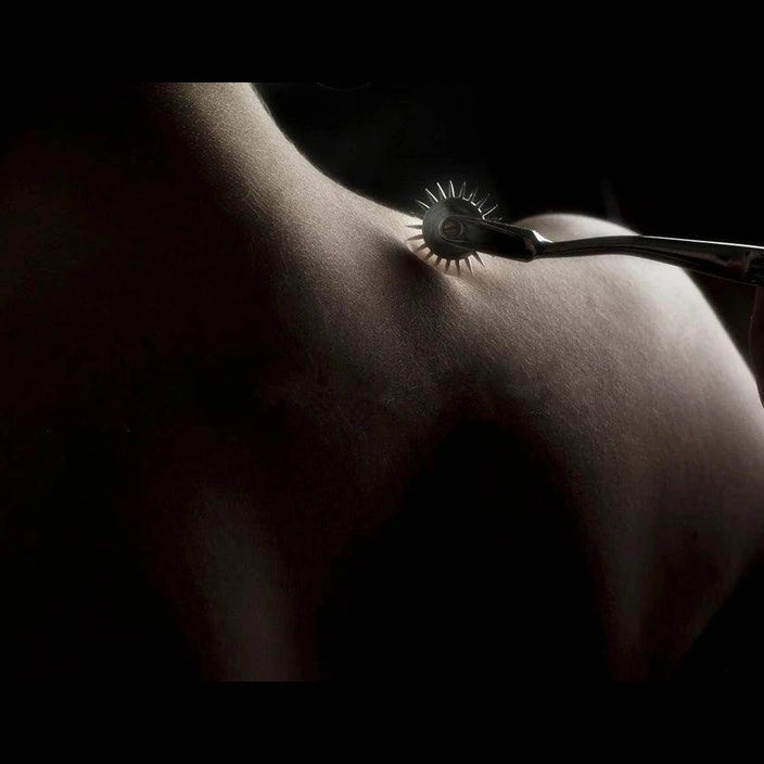 Steel Wheel Gear Roller - Givenco