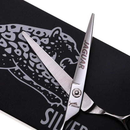 Professional Hair Scissors - 