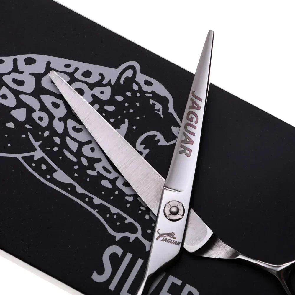 Professional Hair Scissors - Givenco